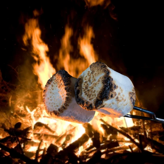 S'mores roasting over an open fire